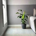 Centro De Con Acceso Domotizado Y Buenos Acabados Apartment