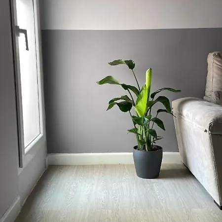 Centro De Con Acceso Domotizado Y Buenos Acabados Apartman
