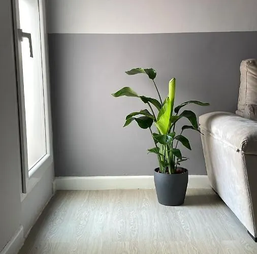 Centro De Con Acceso Domotizado Y Buenos Acabados 아파트